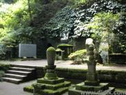 thm_DSC00046.jpg