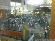 thm_DSC00250.jpg