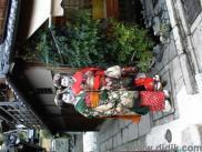 thm_DSC00524.jpg